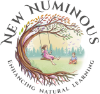 New Numinous Logo